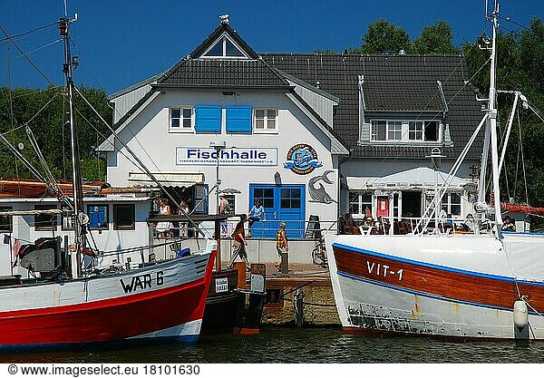 Fischkutter  Fischhalle  Vitte  Ostseeinsel Hiddensee  Ostsee  Mecklenburg-Vorpommern  Deutschland  Europa