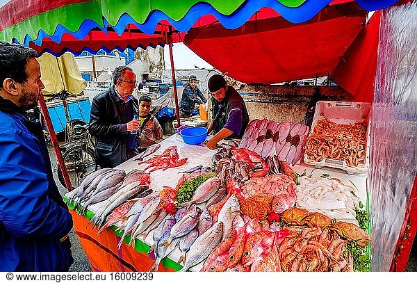 Fischmarkt am Hafen von Essaouira  Marokko  Nordafrika.