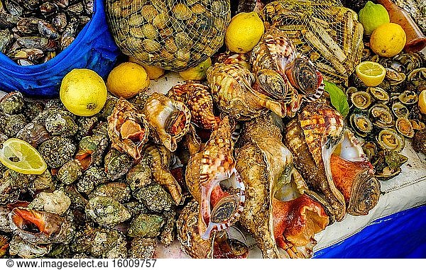 Fischmarkt am Hafen von Essaouira  Marokko  Nordafrika.