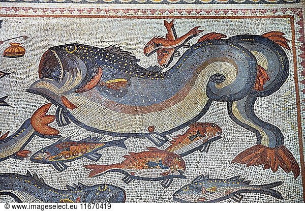 Fish and marine life from the 3rd century Roman mosaic villa floor from Lod  near Tel Aviv  Israel. The Roman floor mosaic of Lod is the largest and best preserved mosaic floor from the levant region along the eastern Mediterranean coast. It is unclear whether the owners were Jewish  Christian or pagan but either way they would have been wealthy to own such a magnificent floor. The Shelby White and Leon Levy Lod Mosaic Centre  Lod  Israel.