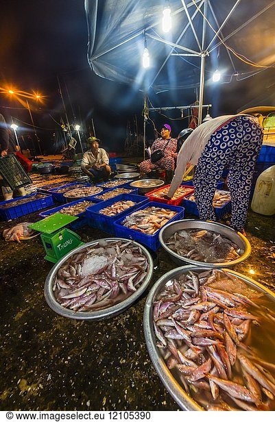 Fish market at sunrise  Cam Ha  Hoi An  Vietnam.