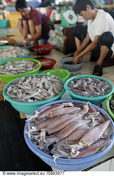 Fish market. Squids and shrimps for sale. Ha Tien. Vietnam.
