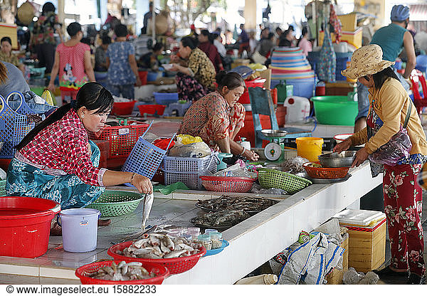 Fish market. Women selling fresh fish. Ha Tien. Vietnam.