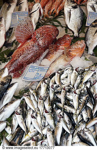 Fish Onsale  Beyoglou  Istanbul  Turkey
