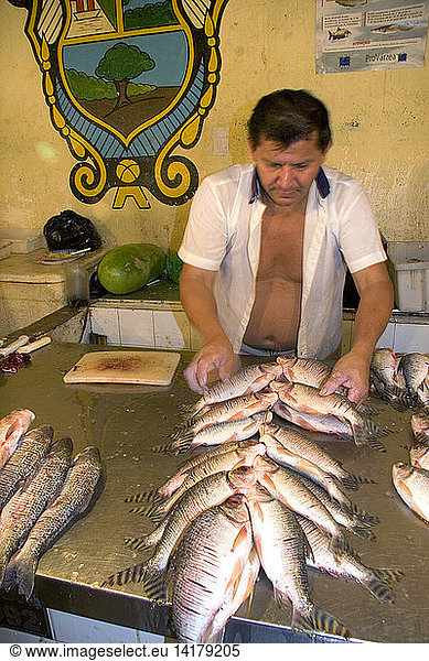 Fish Vendor  Manaus  Brazil