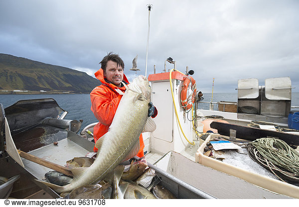 Fisherman holding freshly caught cod on fishing boat