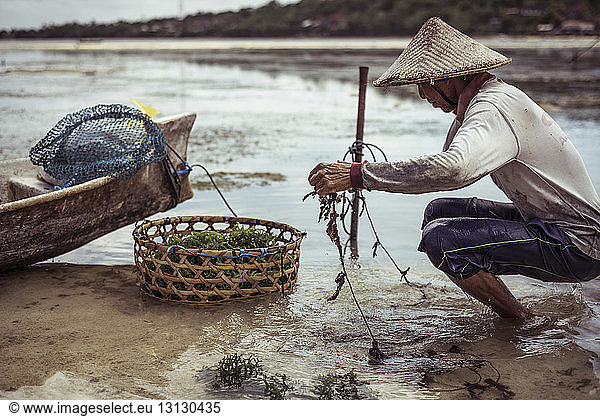 Fisherman working in river