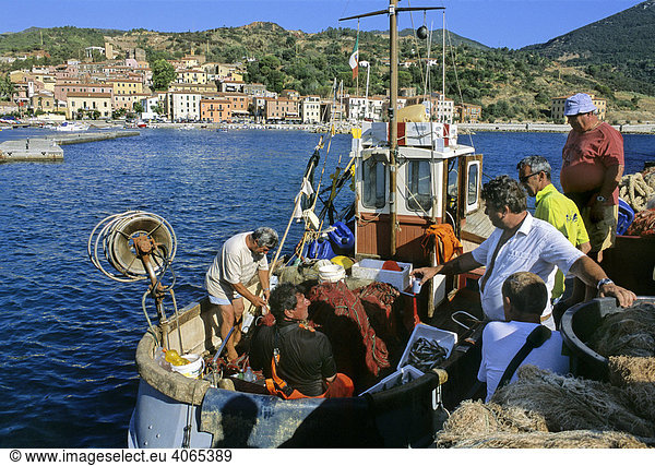 Fishermen in the harbour  Rio Marina  Elba Island  province of Livorno  Tuscany  Italy  Europe