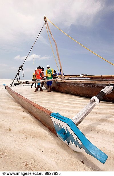 Fishermen trying to place the boat on wood blocks at the low sea level  Jambiani  Zanzibar Island  Zanzibar Archipelago Tanzania  East Africa.