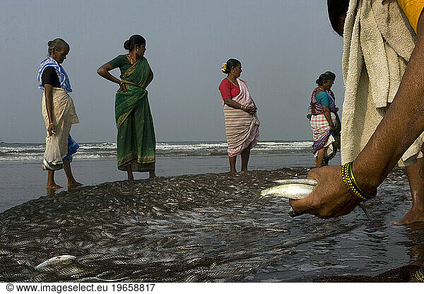 Fisherwomen busy in their morning task.