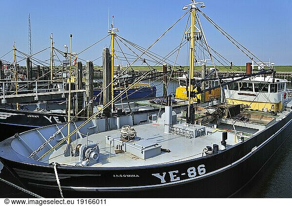 Fishing boat  Mussel cutter in the harbour of Yerseke along the Oosterschelde  Eastern Scheldt  Zealand  the Netherlands