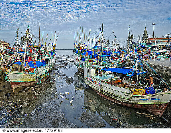 Fishing boats in the market area of Belem  Brazil  South America