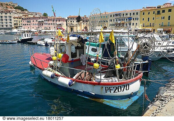 Fishing boats  Portoferraio harbour  Elba  Tuscany  Italy  Europe