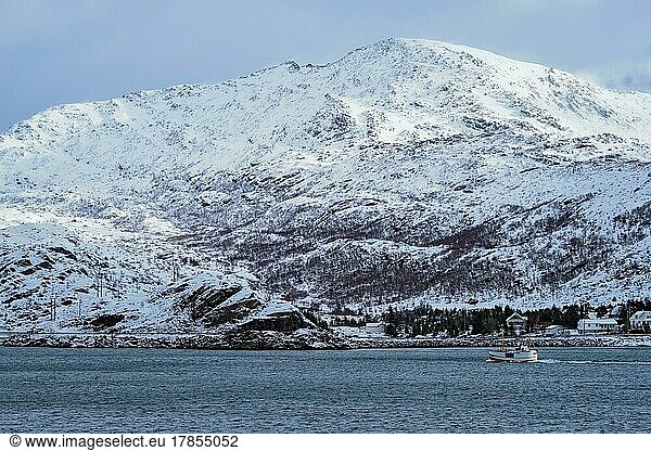 Fishing ship boat in Norwegian fjord. Lofoten islands  Norway  Europe