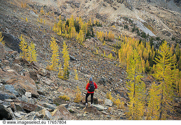 Fit female posing in the alpine lakes wilderness with golden larches