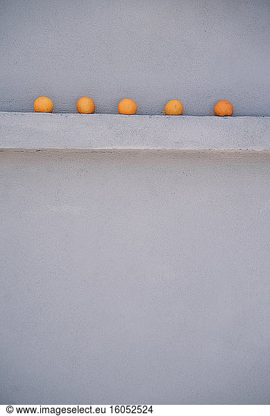 Five oranges on a gray wall spur