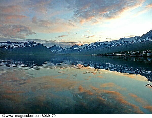 Fjord in the evening light  Fjord  Iceland  Iceland  Europe
