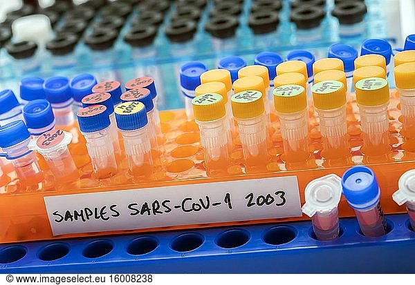 Fläschchen mit Proben von SARS-COV-1 in einem Forschungslabor  konzeptionelles Bild.