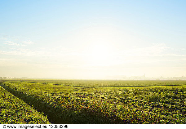 Flache grüne Feldlandschaft mit Graben bei Sonnenaufgang  Niederlande