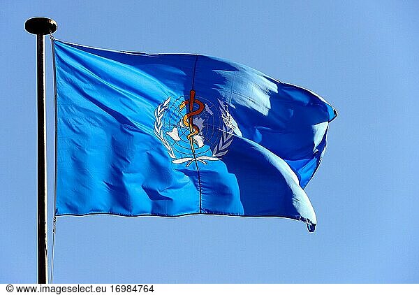 Flagge der W.H.O. - Weltgesundheitsorganisation