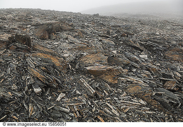 Flaking eroded shale on Cooper Mountain  Kenai Peninsula  Alaska