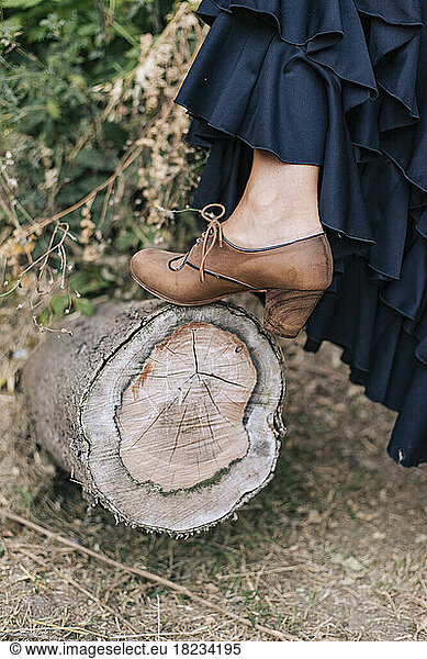 Flamenco dancer wearing shoe keeping leg on tree stump