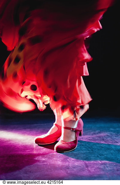 Flamenco feet
