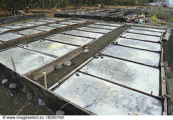 Flat foil tubs for the extraction of sea salt  the so-called fleur de sel  North Bali  Bali  Indonesia  Asia