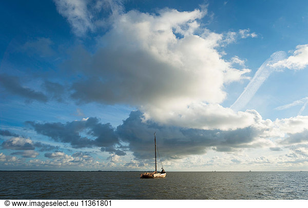 Flatbottom sailing ship anchored on Waddensea  Ameland  Friesland  Netherlands