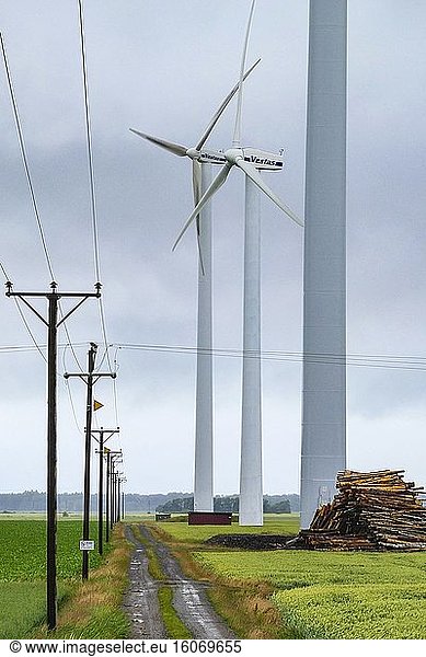 Flo  Schweden Windturbinen auf einem Feld und ein Stapel aufgeschichtetes Holz.