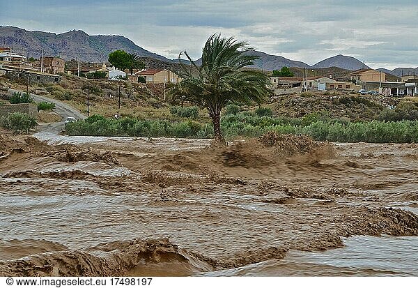 Flood disaster after storm 2012  river  force of nature  Grima  Andalusia  Spain  Europe