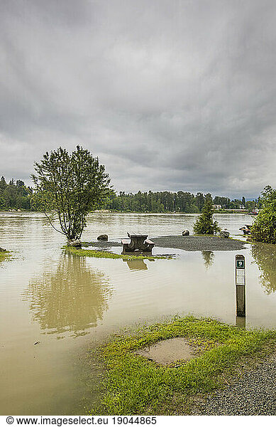 Flooded campsite along the Fraser River  British Columbia  Canada.