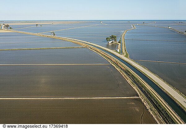 Flooded rice fields in May  aerial view  drone shot  Ebro Delta Nature Reserve  Tarragona province  Catalonia  Spain  Europe