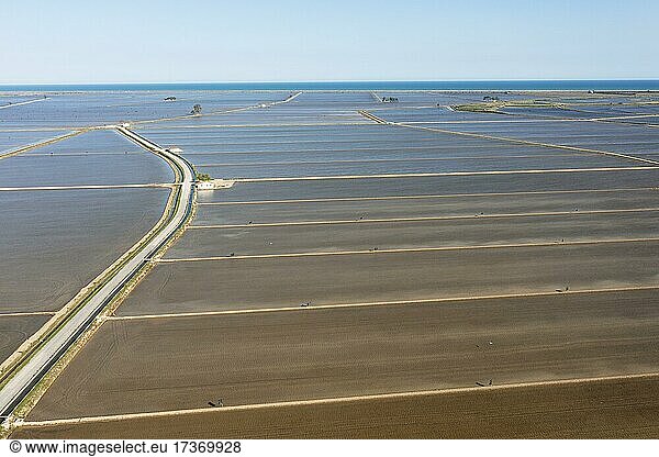 Flooded rice fields in May  aerial view  drone shot  Ebro Delta Nature Reserve  Tarragona province  Catalonia  Spain  Europe