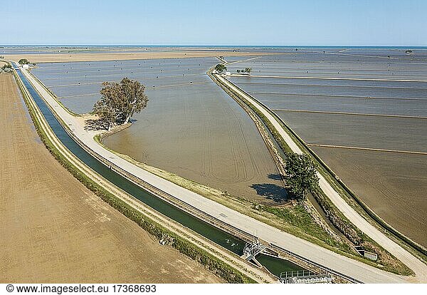 Flooded rice fields in May  the dry patches are experimentally cultivated with dryland rice  aerial view  drone shot  Ebro Delta Nature Reserve  Tarragona province  Catalonia  Spain  Europe