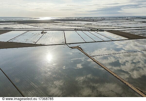 Flooded rice fields in May  the dry patches are experimentally cultivated with dryland rice  aerial view  drone shot  Ebro Delta Nature Reserve  Tarragona province  Catalonia  Spain  Europe
