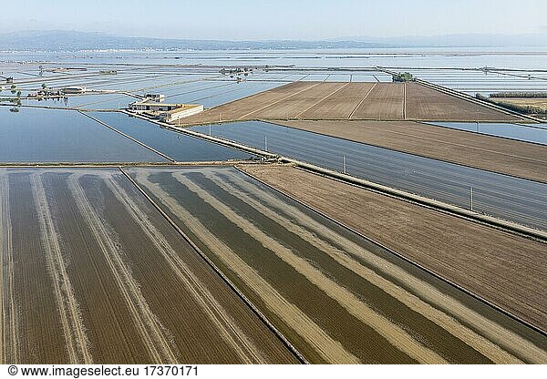 Flooded rice fields in May  the tracks are caused by a tractor sowing rice seeds  the dry patches are experimentally cultivated with dryland rice  aerial view  drone shot  Ebro Delta Nature Reserve  Tarragona province  Catalonia  Spain  Europe