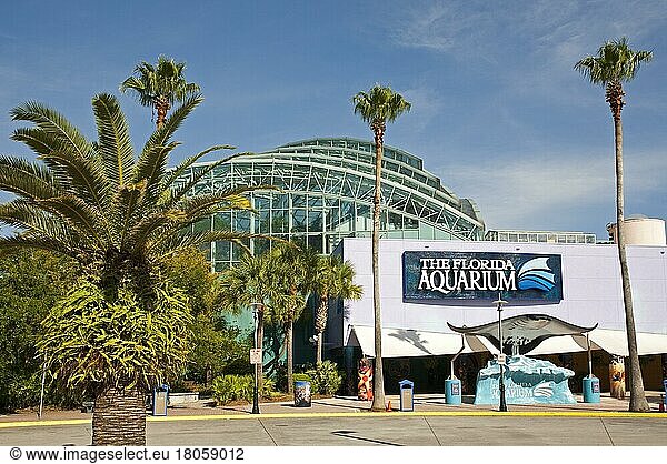 Florida Aquarium  Tampa  Florida/ Florida Aquarium  Tampa  Florida  Tampa  Florida  USA  Nordamerika