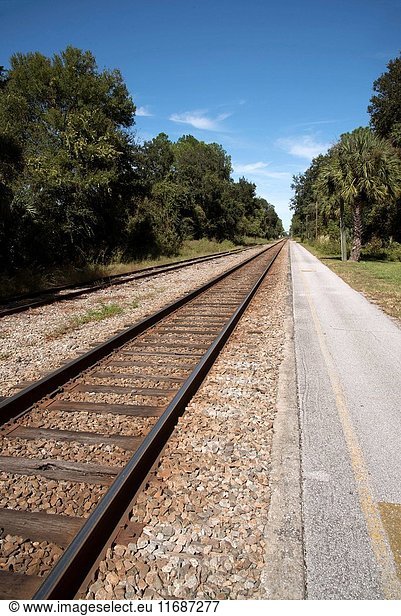 Florida USA  Railroad tracks passing through Florida countryside