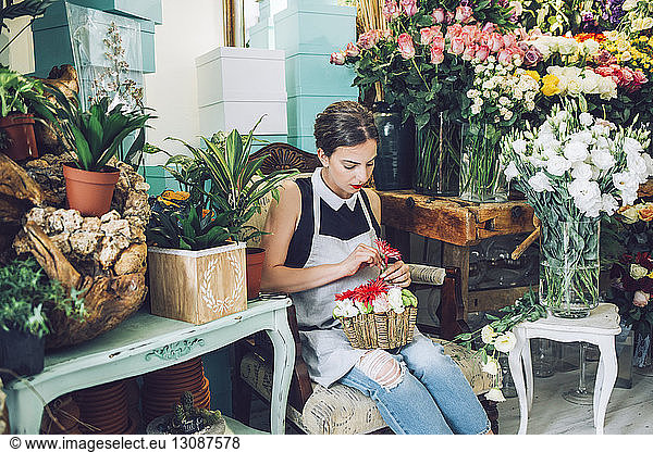 Florist arrangiert Blumen im Topf im Geschäft