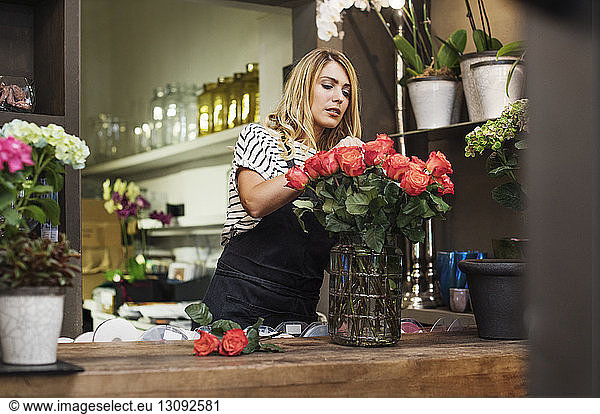 Florist arranging red roses in vase