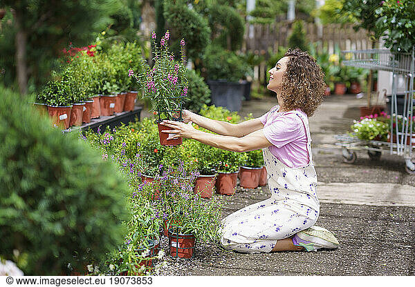 Florist examining plants sitting on floor in nursery