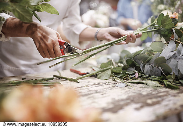 Florist schneidet Blumenstiele im Blumengeschäft