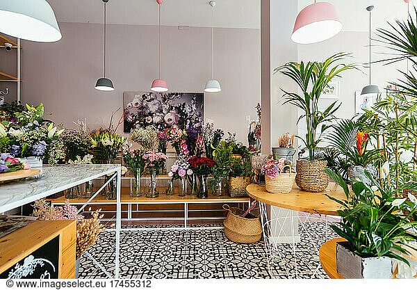 Florist studio space full of plants and flowers