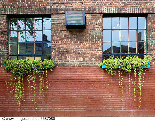 Flower Boxes on a Brick Wall