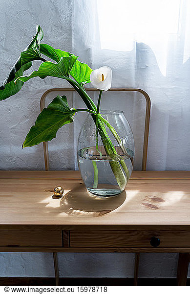 Flower in glass vase on desk at home