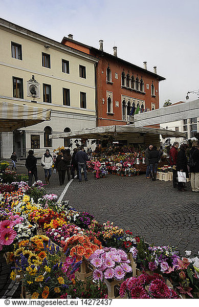 Flower market  Duomo square  Belluno  Veneto  Italy
