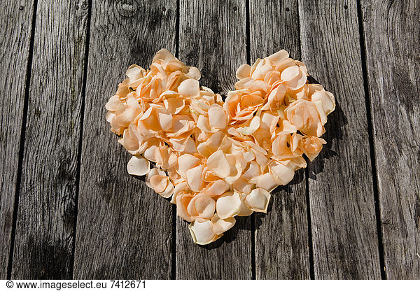 Flower petals arranged in heart shape