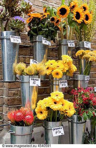 Flower stall  London  England