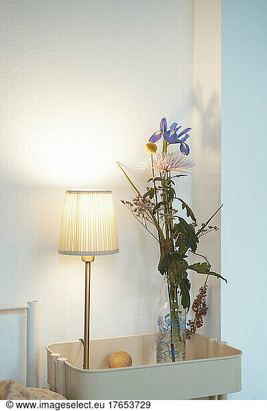 Flower vase and illuminated lamp in front of wall at home